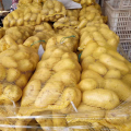 China fresh potato factory supply, natural yellow potato export 2021